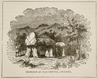 Cromeleque para Plas Newydd, Anglesey de English School