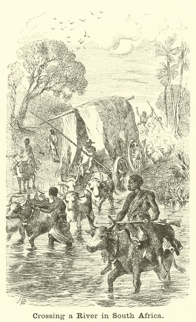 Atravessando um rio na África do Sul de English School
