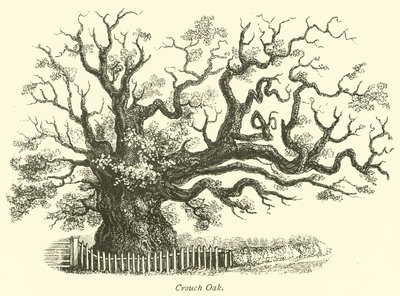 Crouch Oak de English School