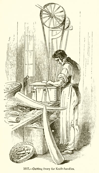 Marfim de corte para punhos de English School