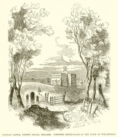 Castelo de Dangan, país Meath, Irlanda. Suposto Local de Nascimento do Duque de Wellington de English School