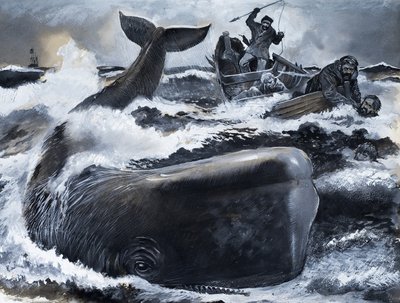 Perigo: Down the Giants de English School