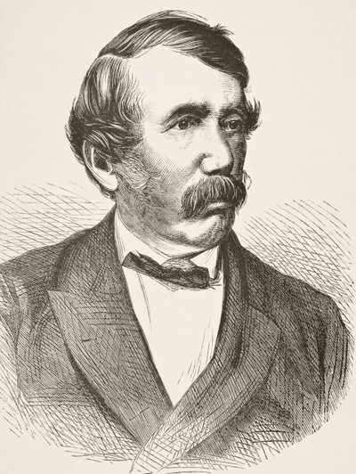 David Livingstone, de "A História Nacional e Doméstica da Inglaterra", de William Hickman Smith Aubrey (1858-1916) publicou Londres, c.1890 de English School