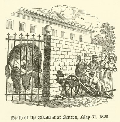 Morte do elefante em Genebra, 31 de maio de 1820 de English School