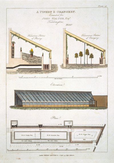 Design para um Pinery e Orangery em Teddington, 1806 de English School