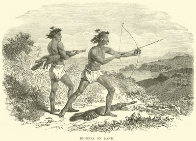 Escavadores em terra de English School