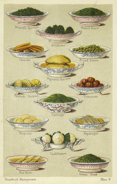 Pratos de legumes de English School