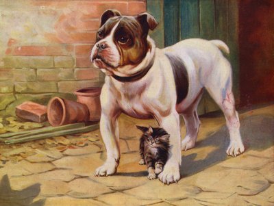 Cão e gatinho (cor litho) de English School