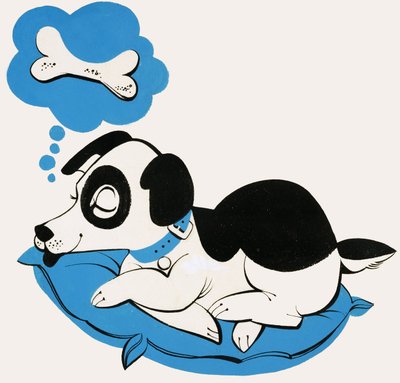 Cachorro sonhando com um osso de English School
