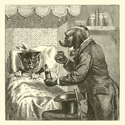 Cão, dar, pílulas, para, doente, gato de English School