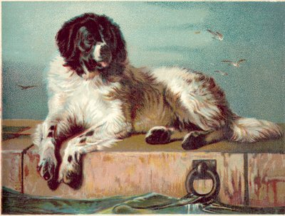 Cão sentado à beira-mar (cromolitografia) de English School