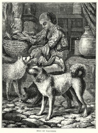 Dogs of Palestine (gravura) de English School