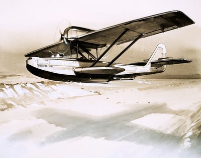 Dornier Wal, bote alemão de bimotores de English School