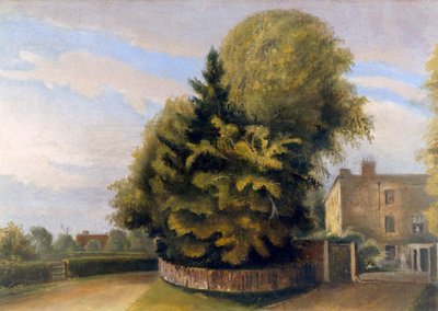 Down House from the North (óleo sobre tela) de English School