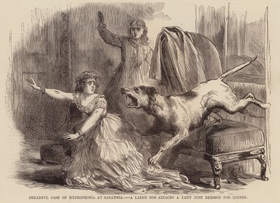 Caso terrível de hidrofobia em Saratoga, um cão de grande porte ataca uma senhora que estava a vestir-se para jantar (gravura) de English School