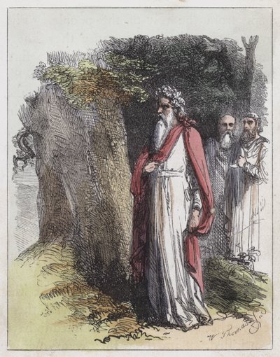 Druidas (gravura colorida) de English School
