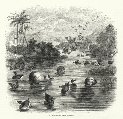 Caça ao pato com cabaças (gravura) de English School