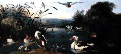 Patos sobre um lago (óleo sobre tela) de English School