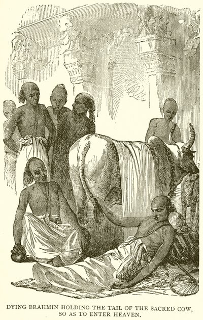 Brâmane moribundo segurando a cauda da Vaca Sagrada, para entrar no Paraíso de English School