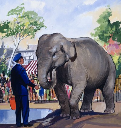 Elefante Guardião de English School