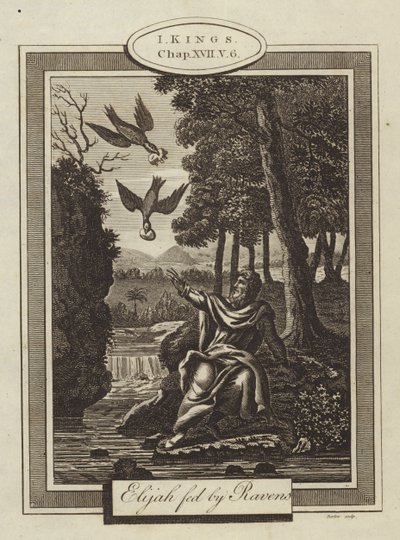 Elias alimentado por Ravens, I Reis, Capítulo XVII, Verso 6 (gravura) de English School