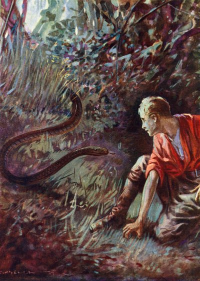 Encontro com uma cobra na selva (cor litho) de English School