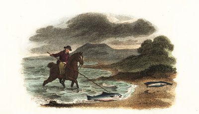 Pescador inglês Graham caçando salmão nos baixios montados a cavalo com uma lança de 3 metros de comprimento e 5 metros de English School