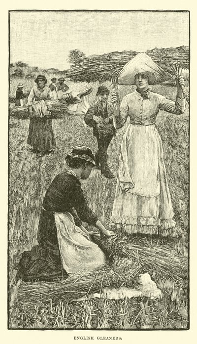 Inglês gleaners de English School