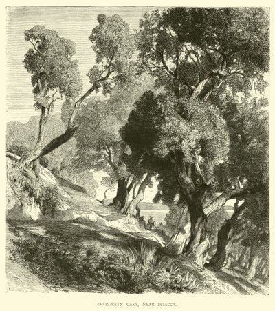 Evergreen Oaks, perto de Sciacca de English School