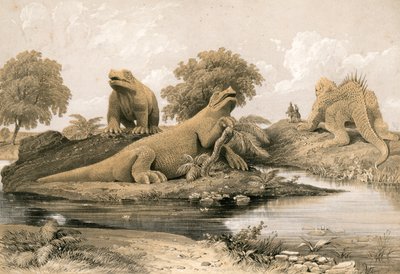 Animais extintos de English School