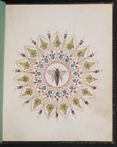 F.1: Inseto dentro de um desenho. Livro de esboço com cenas de histórias de Charles Dickens (aguarela sobre papel) de English School