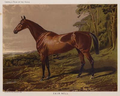 Fair Nell (cor litho) de English School