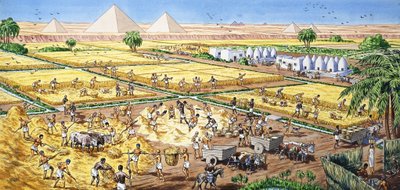 Agricultura no Egito de English School