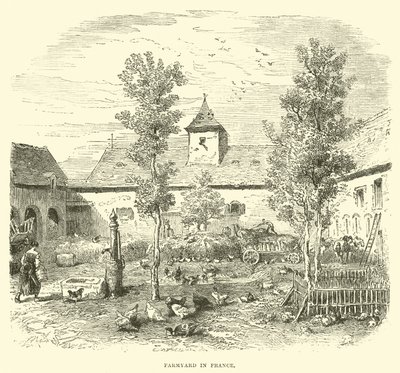 Pátio da França de English School