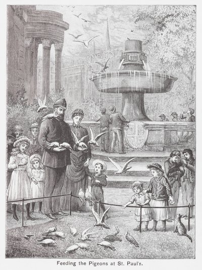 Alimentar os pombos em S. Paulo (gravura) de English School