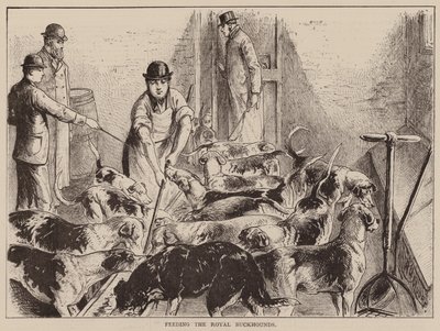 Alimentação dos cães de caça reais (gravura) de English School