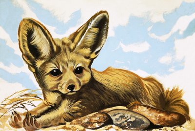 Fennec de English School