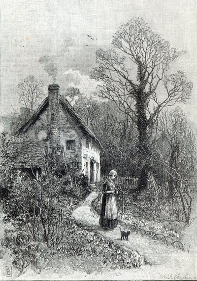 Primeiras Flores, de &39;Leisure Hour&39;, 1888 de English School