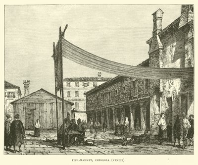 Peixaria, Chioggia, Veneza de English School