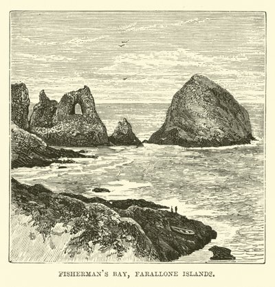 Fishermans Bay, Ilhas Farallone de English School