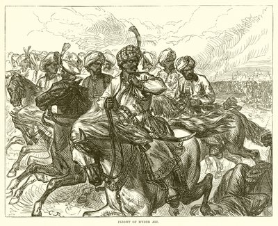 Vôo de Hyder Ali de English School