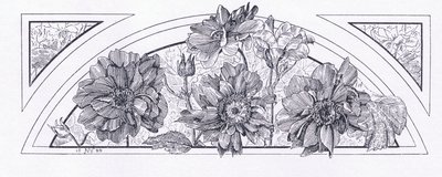 Desenhos de flores, da revista de arte de 1893, Cassell and Company, 1893 de English School