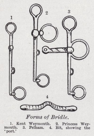 Formas de brida (litho) de English School