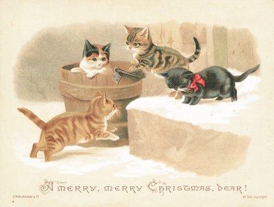 Quatro gatinhos brincando, cartão de Natal de English School