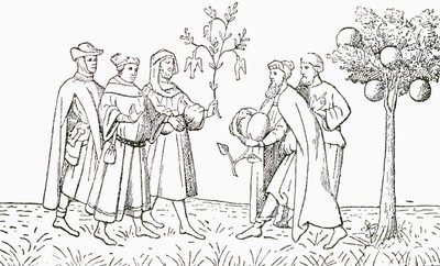 Frei Oderico de Pordenone segurando um ramo de uma árvore na qual os pássaros crescem, sendo mostrado por sua vez pelo rei local, a Árvore do Cordeiro da Tartária, mostrando um cordeiro emergindo, ilustração da The Strand Magaz. de English School