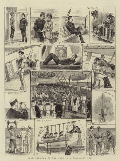 Das Bermudas ao Cabo em um Navio de Transporte (gravura) de English School