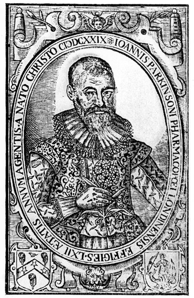 Frontispício de Paradisi em Sole Paradisus Terrestris por John Parkinson, publicado em 1629 de English School
