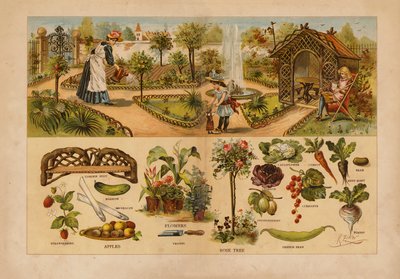 Jardim (litografia a cores) de English School