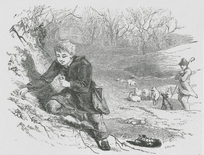 Colheita de prímulas (gravura) de English School
