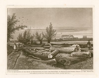 Fundamentos no sul de Westminster, incluindo o Timber Yard on Millbank de English School